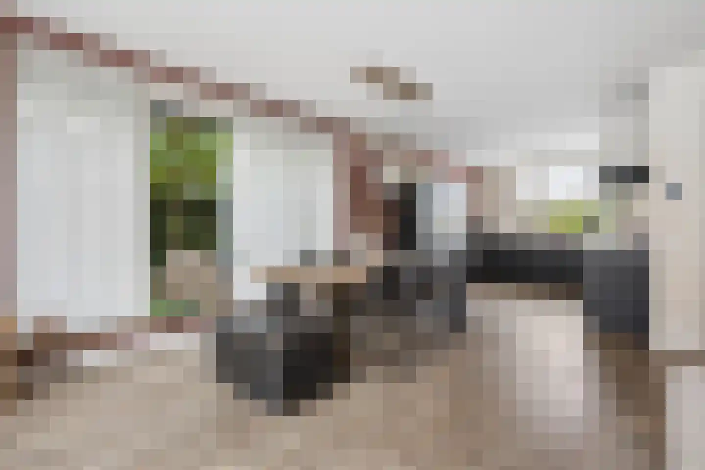 Hooivork 14 Rhenen thumbnail 11