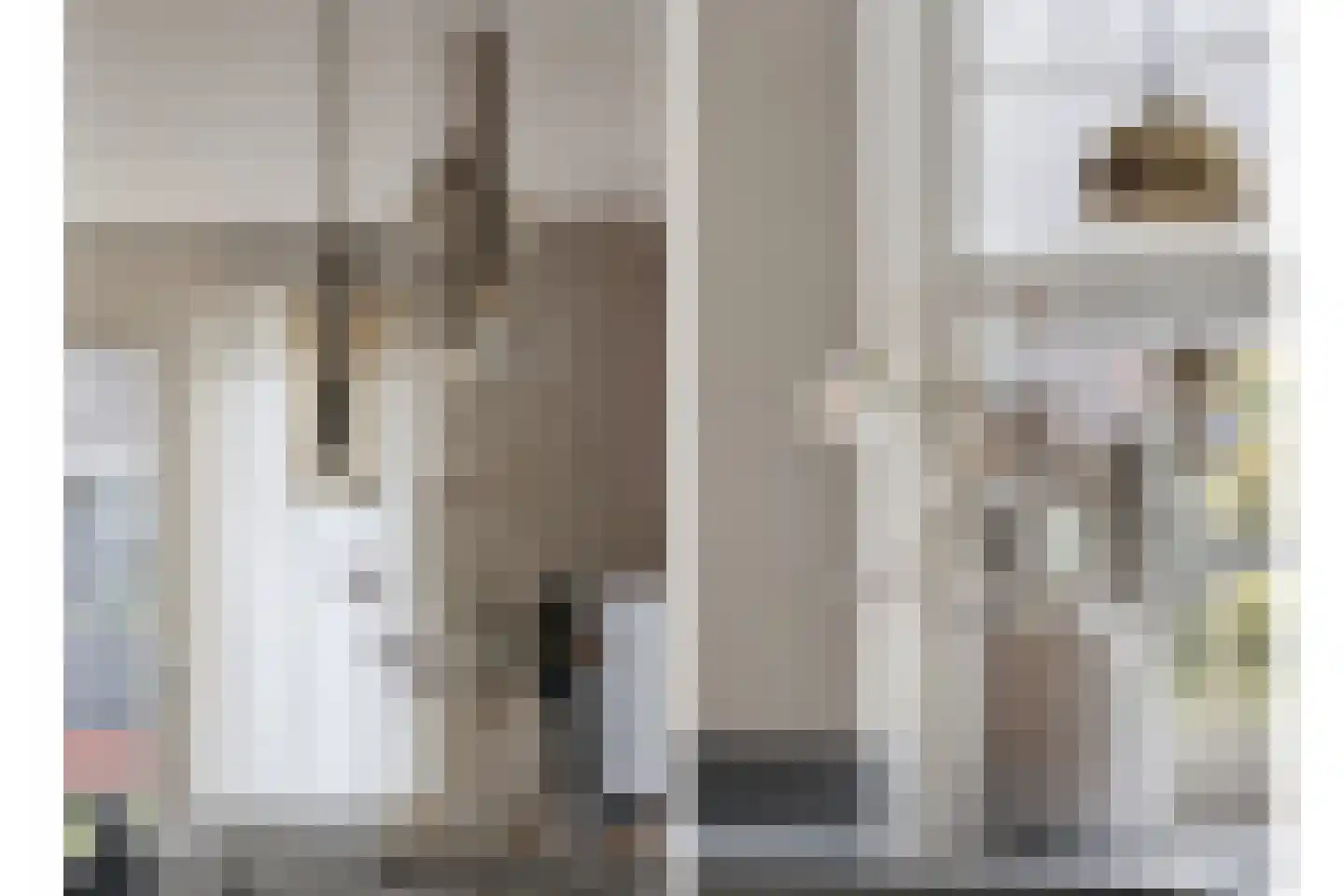 Hooivork 14 Rhenen thumbnail 12