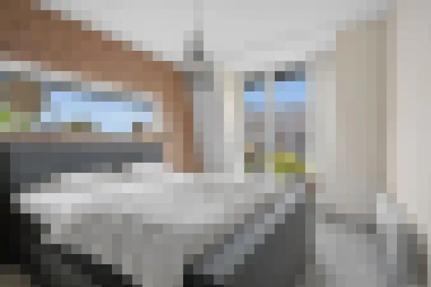 Hooivork 14 Rhenen thumbnail 17