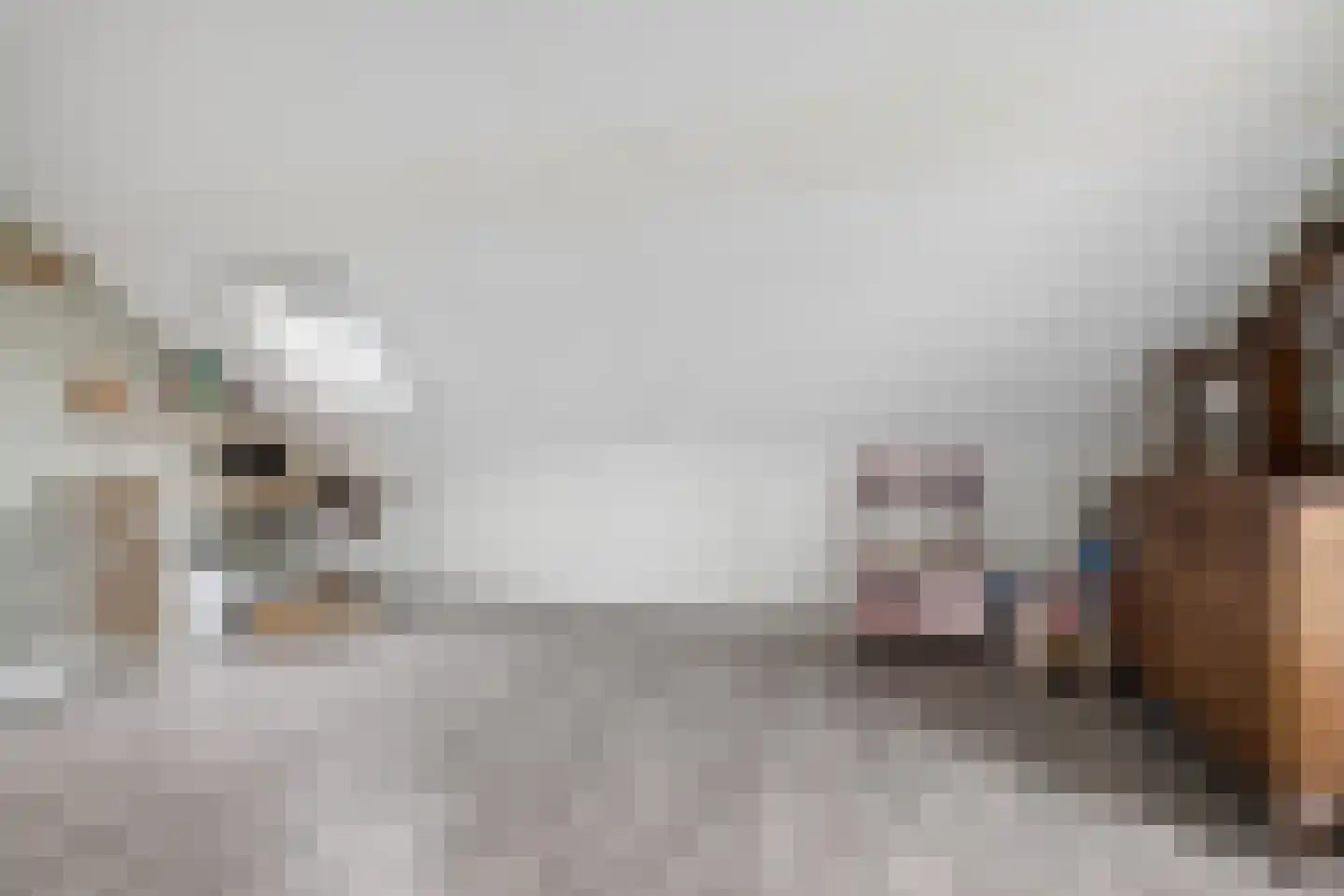 Hooivork 14 Rhenen thumbnail 25