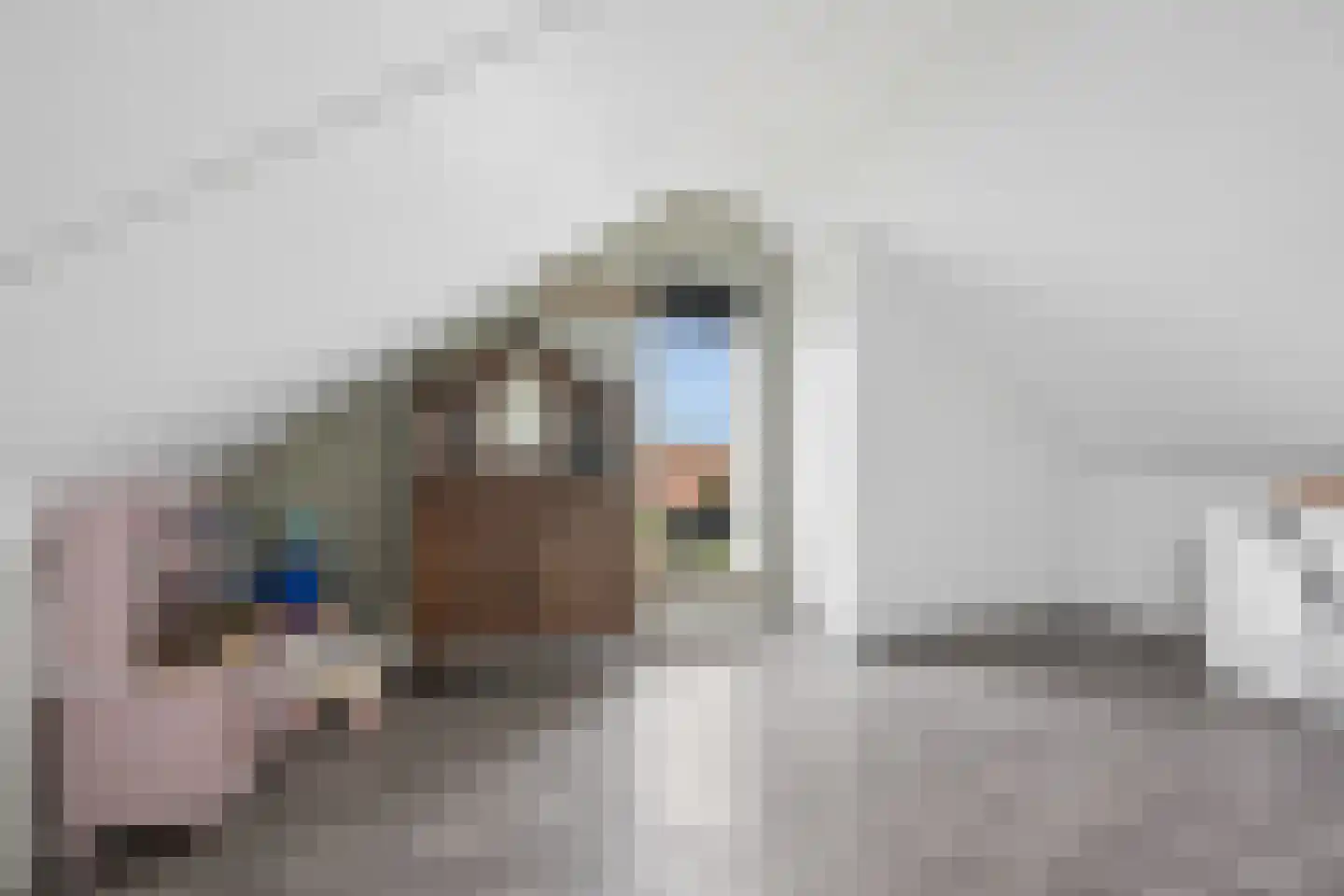 Hooivork 14 Rhenen thumbnail 26