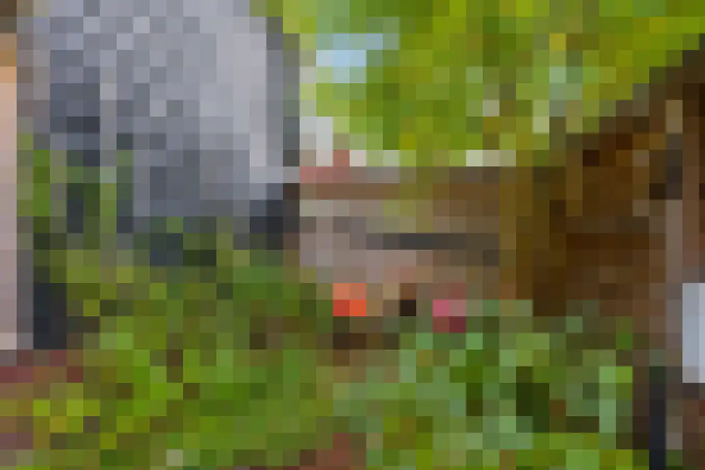 Hooivork 14 Rhenen thumbnail 30