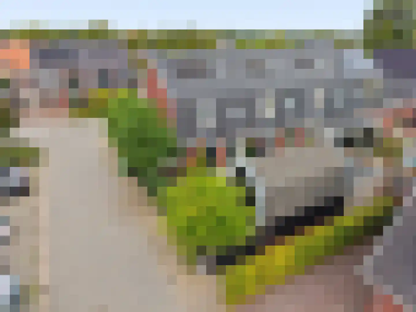 Hooivork 14 Rhenen thumbnail 31