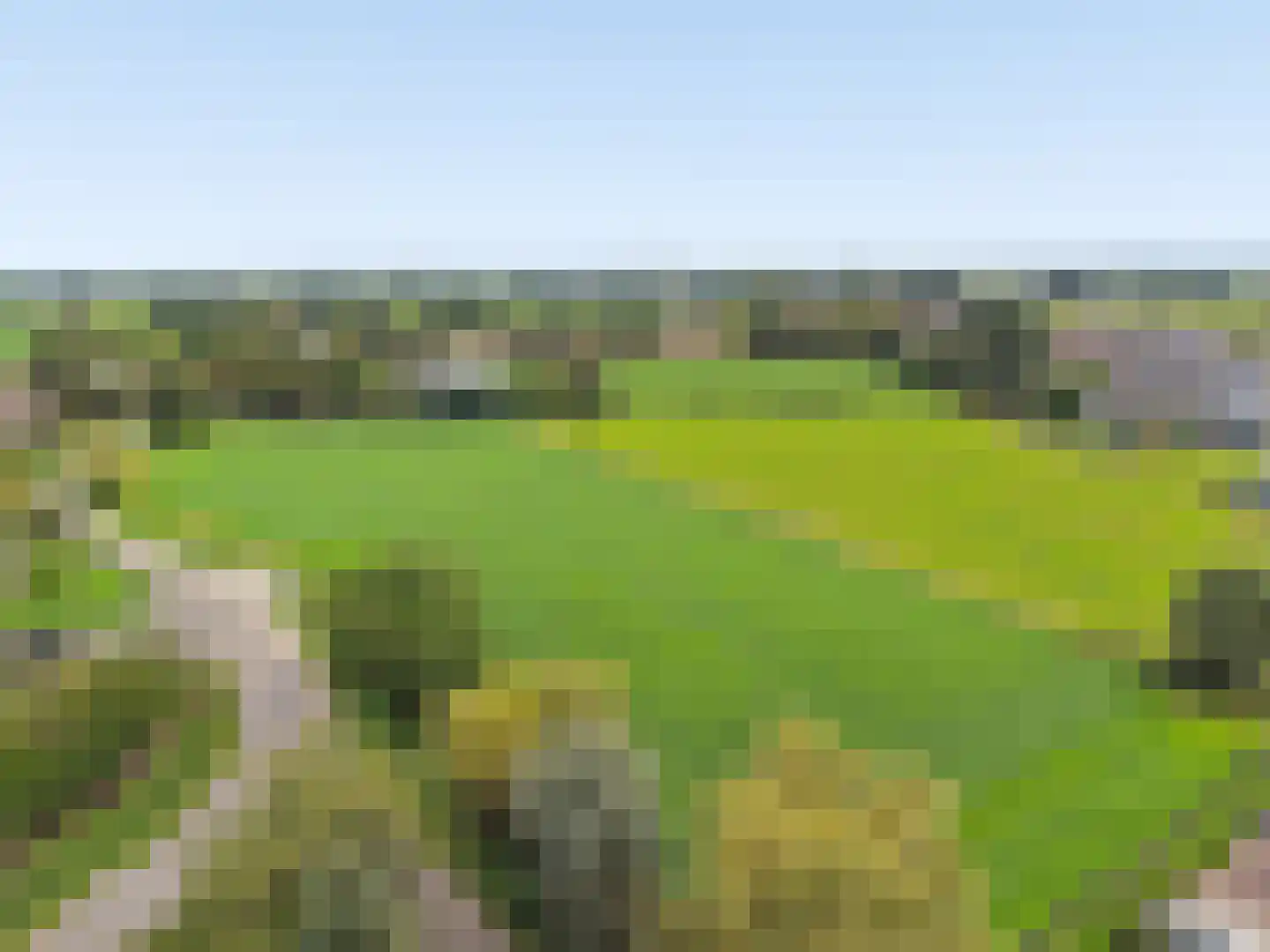 Hooivork 14 Rhenen thumbnail 32