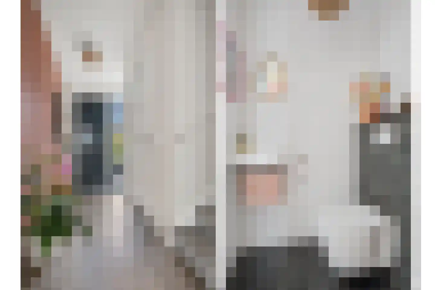 Hooivork 14 Rhenen thumbnail 6