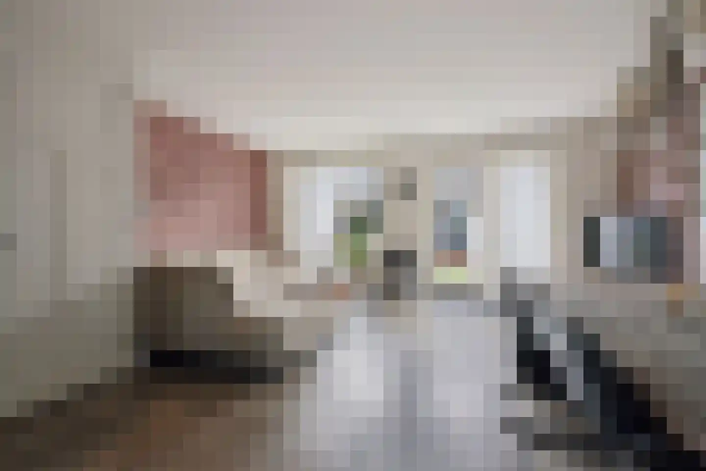 Hooivork 14 Rhenen thumbnail 7