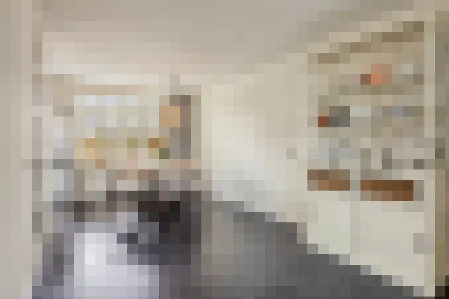 Hooivork 50 Oostzaan thumbnail 10