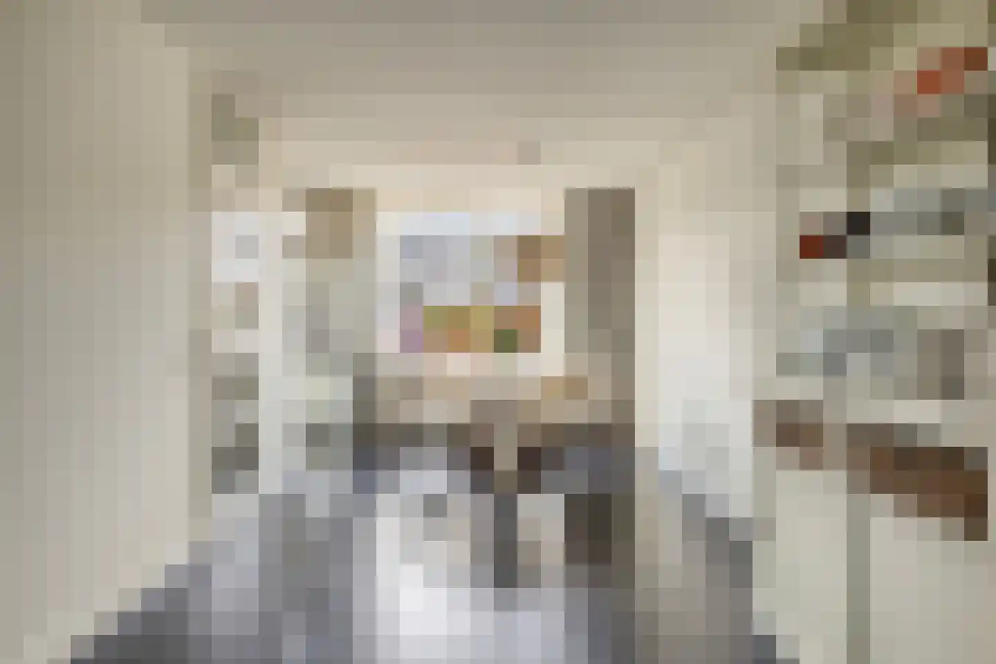Hooivork 50 Oostzaan thumbnail 11