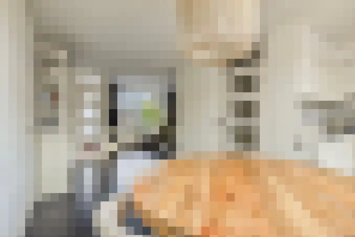 Hooivork 50 Oostzaan thumbnail 13