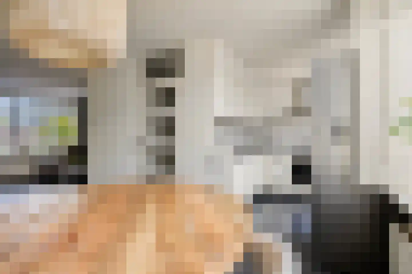 Hooivork 50 Oostzaan thumbnail 14