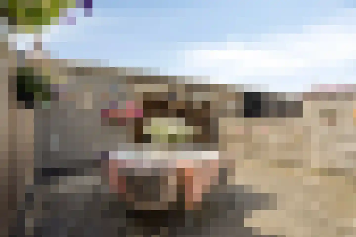 Hooivork 50 Oostzaan thumbnail 17