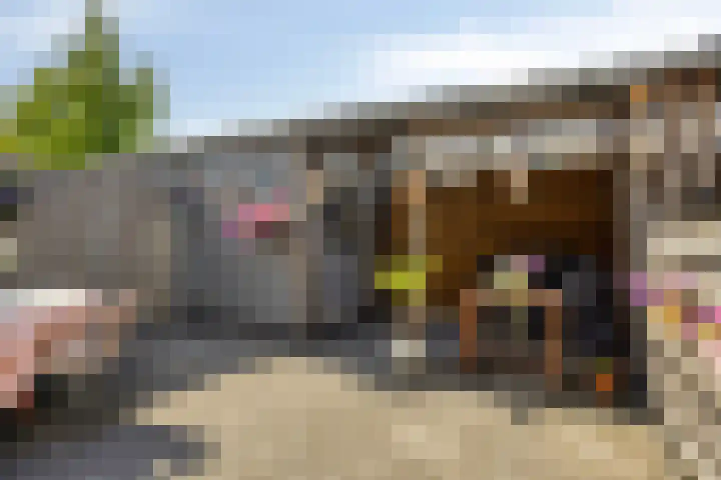 Hooivork 50 Oostzaan thumbnail 18
