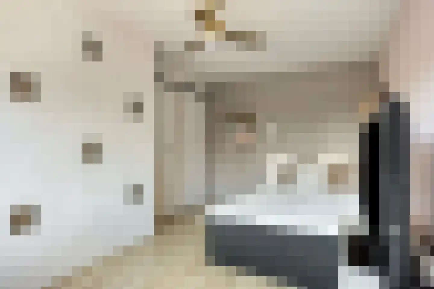 Hooivork 50 Oostzaan thumbnail 20