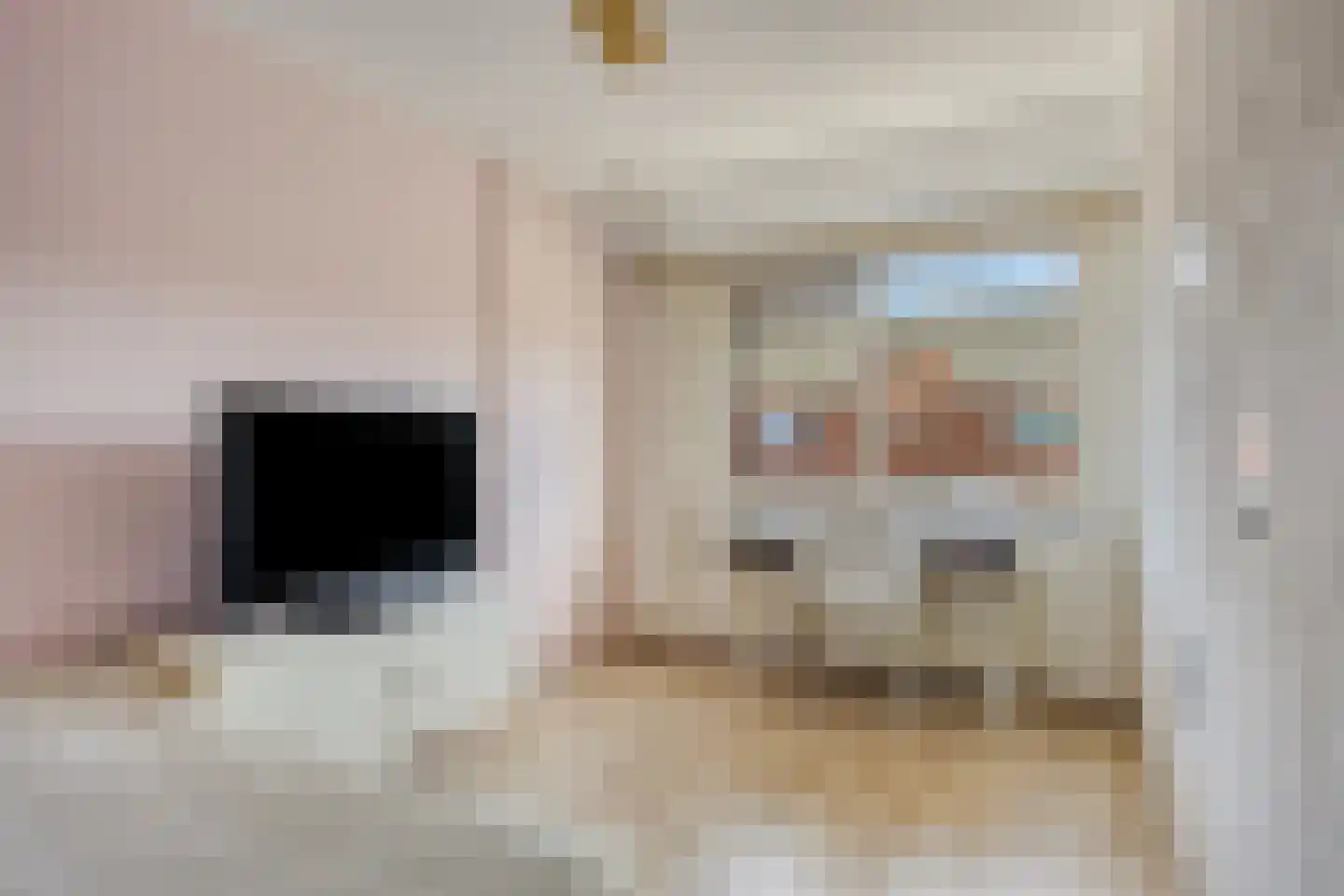 Hooivork 50 Oostzaan thumbnail 21