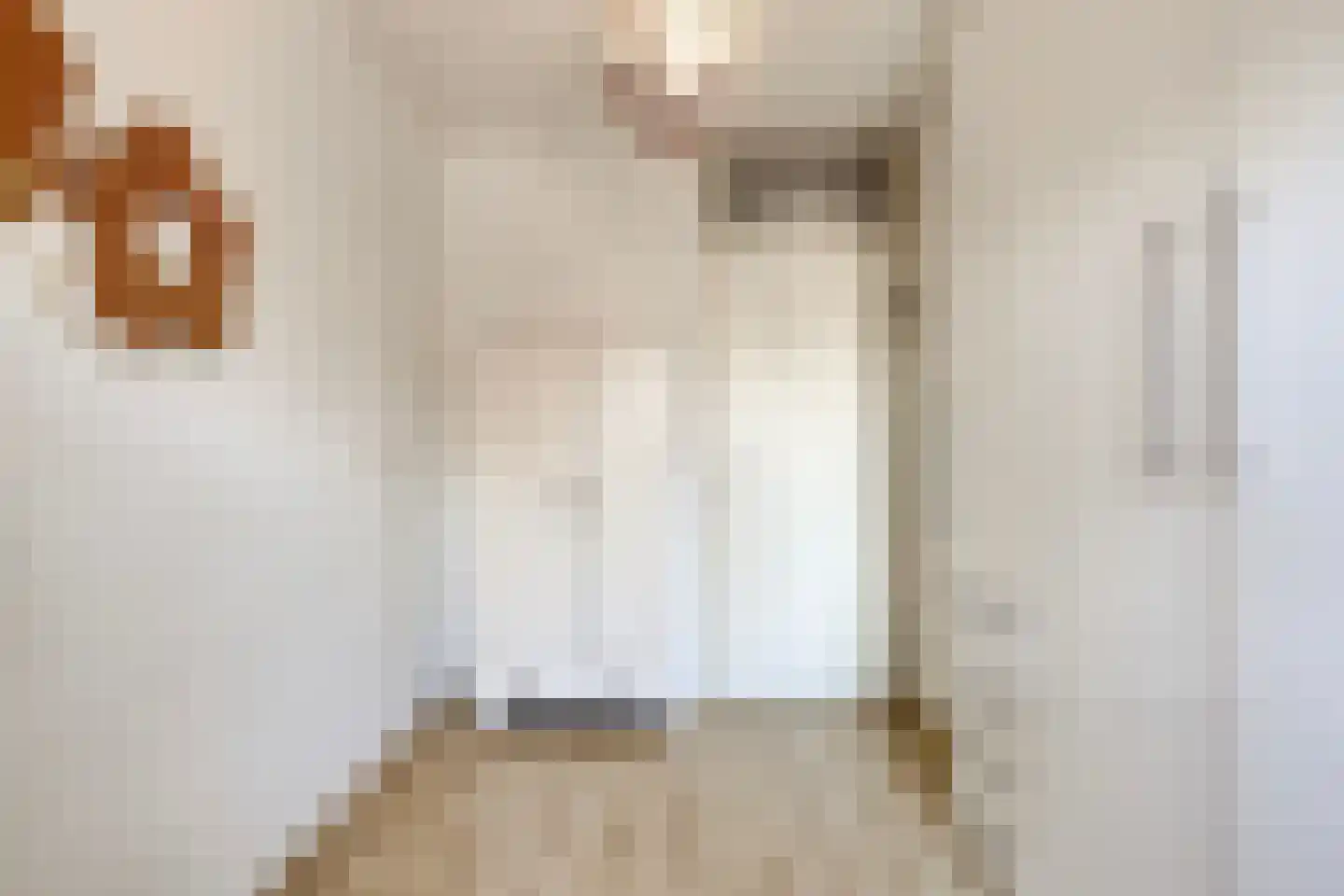 Hooivork 50 Oostzaan thumbnail 23