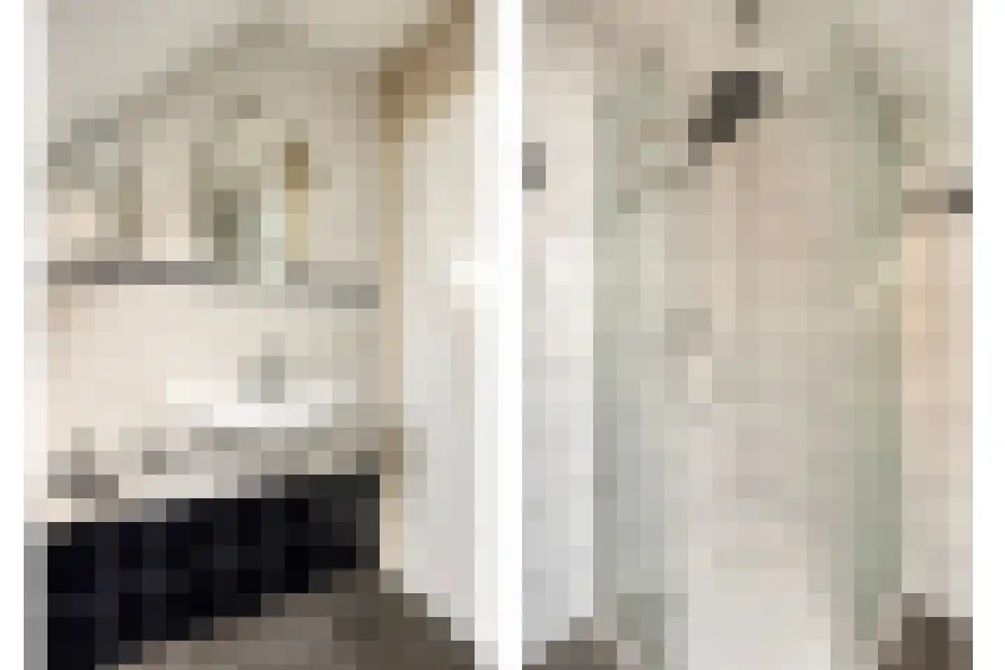 Hooivork 50 Oostzaan thumbnail 25