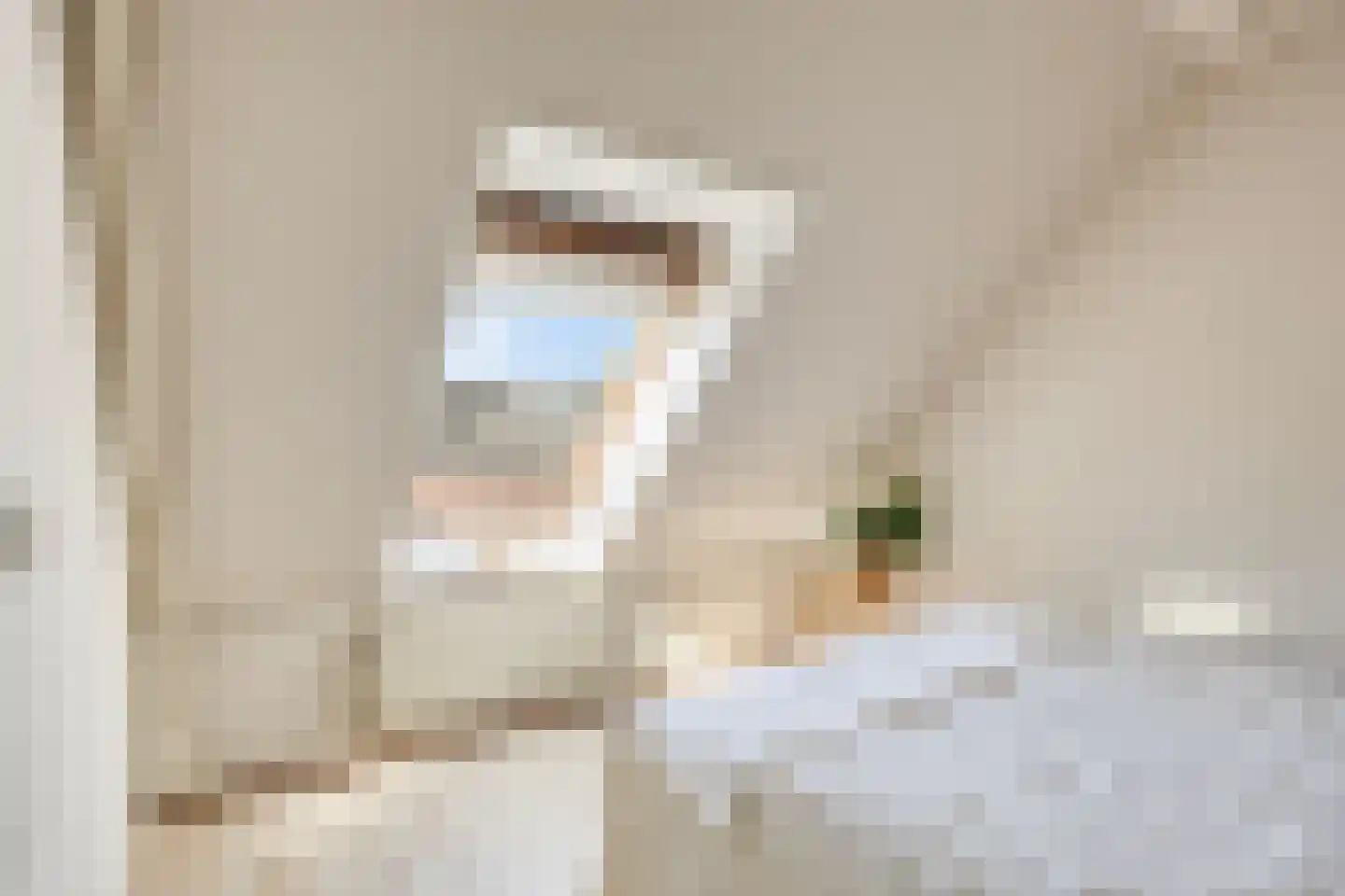 Hooivork 50 Oostzaan thumbnail 26