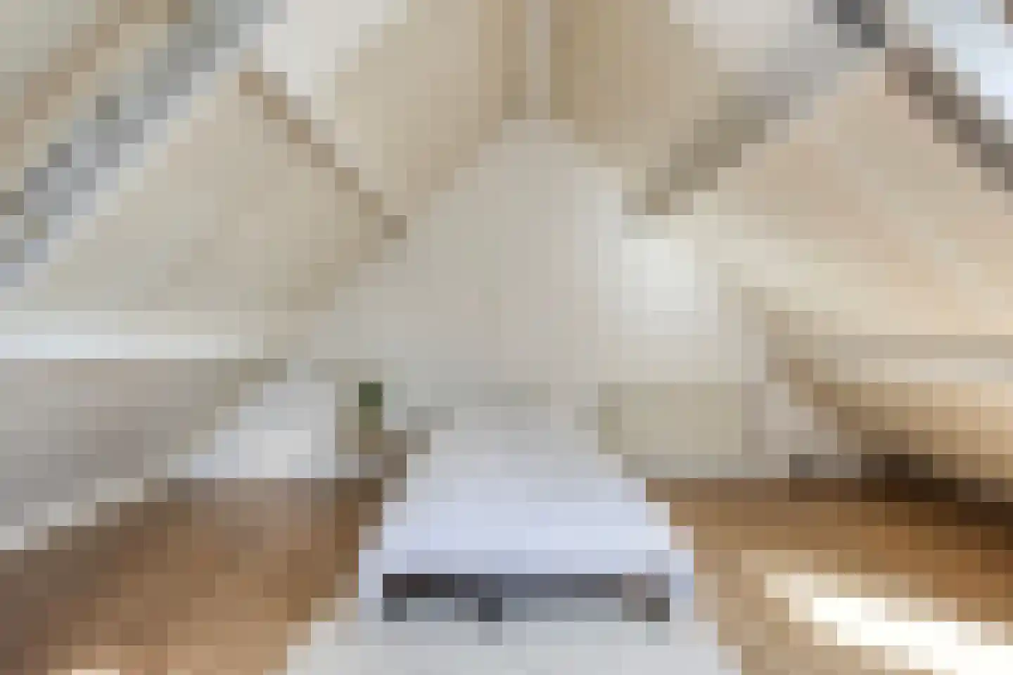 Hooivork 50 Oostzaan thumbnail 28