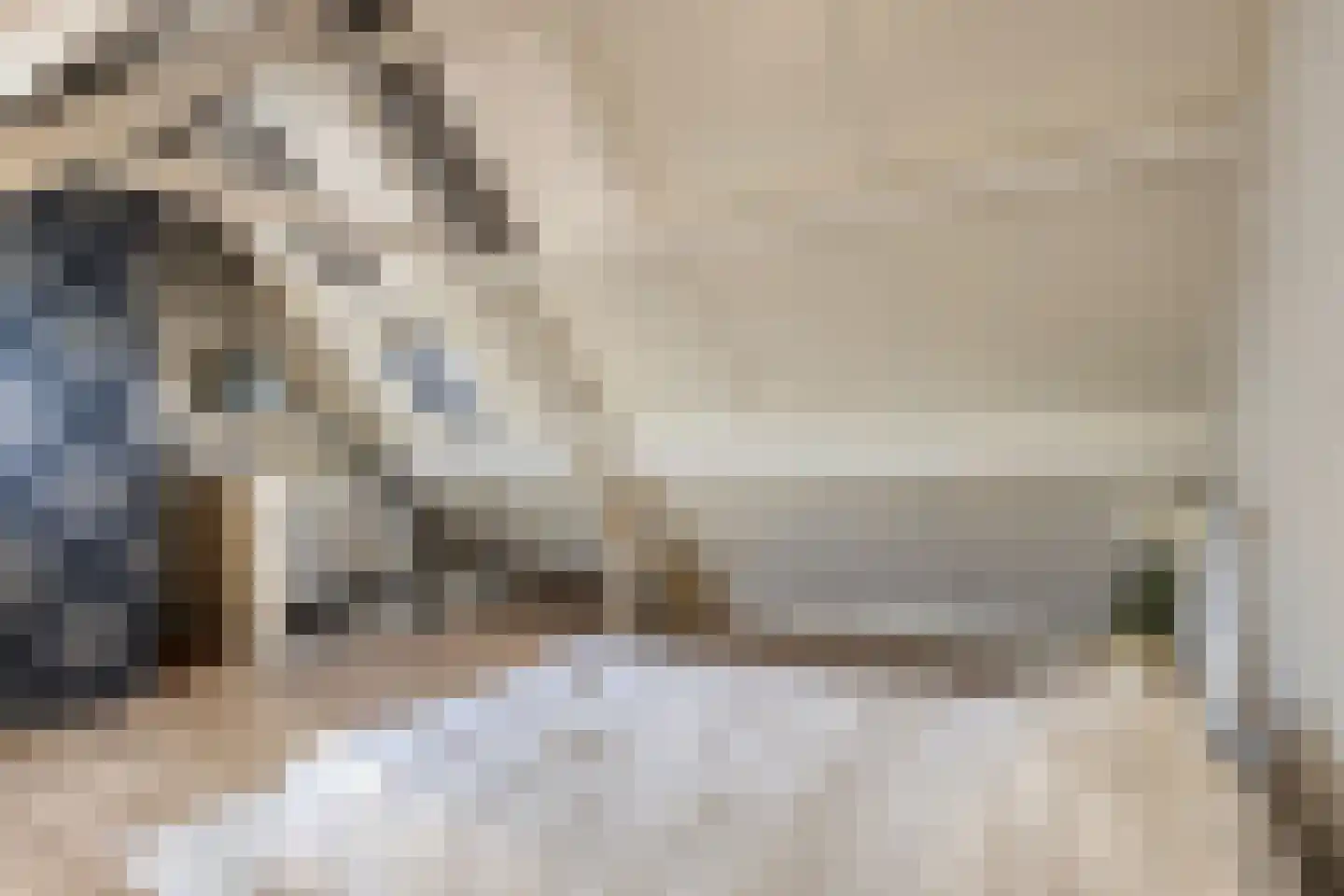 Hooivork 50 Oostzaan thumbnail 30