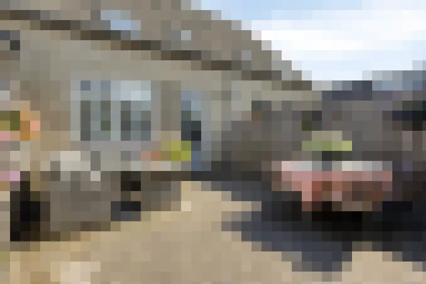 Hooivork 50 Oostzaan thumbnail 4