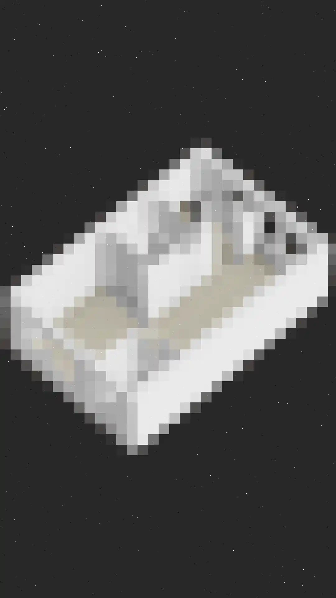 Hooivork 50 Oostzaan thumbnail 45