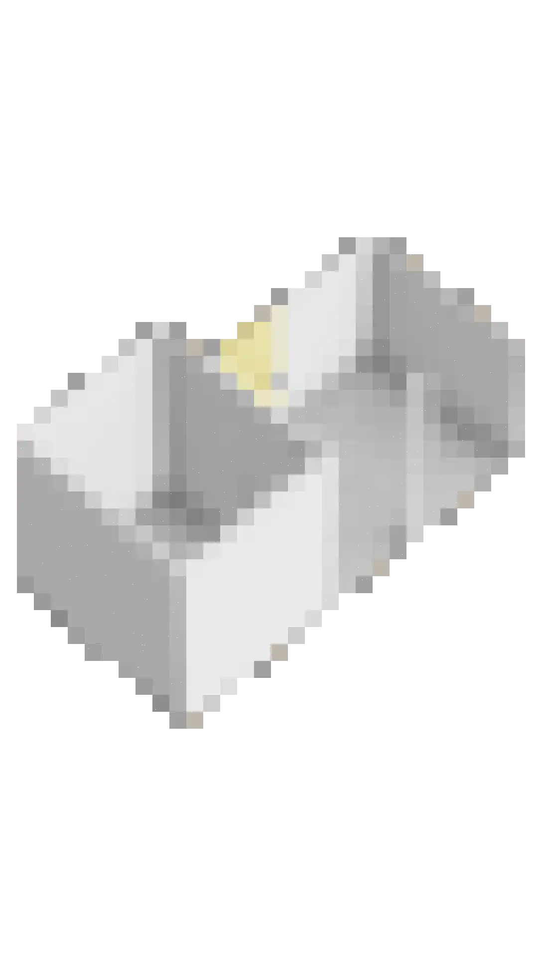 Hooivork 50 Oostzaan thumbnail 51