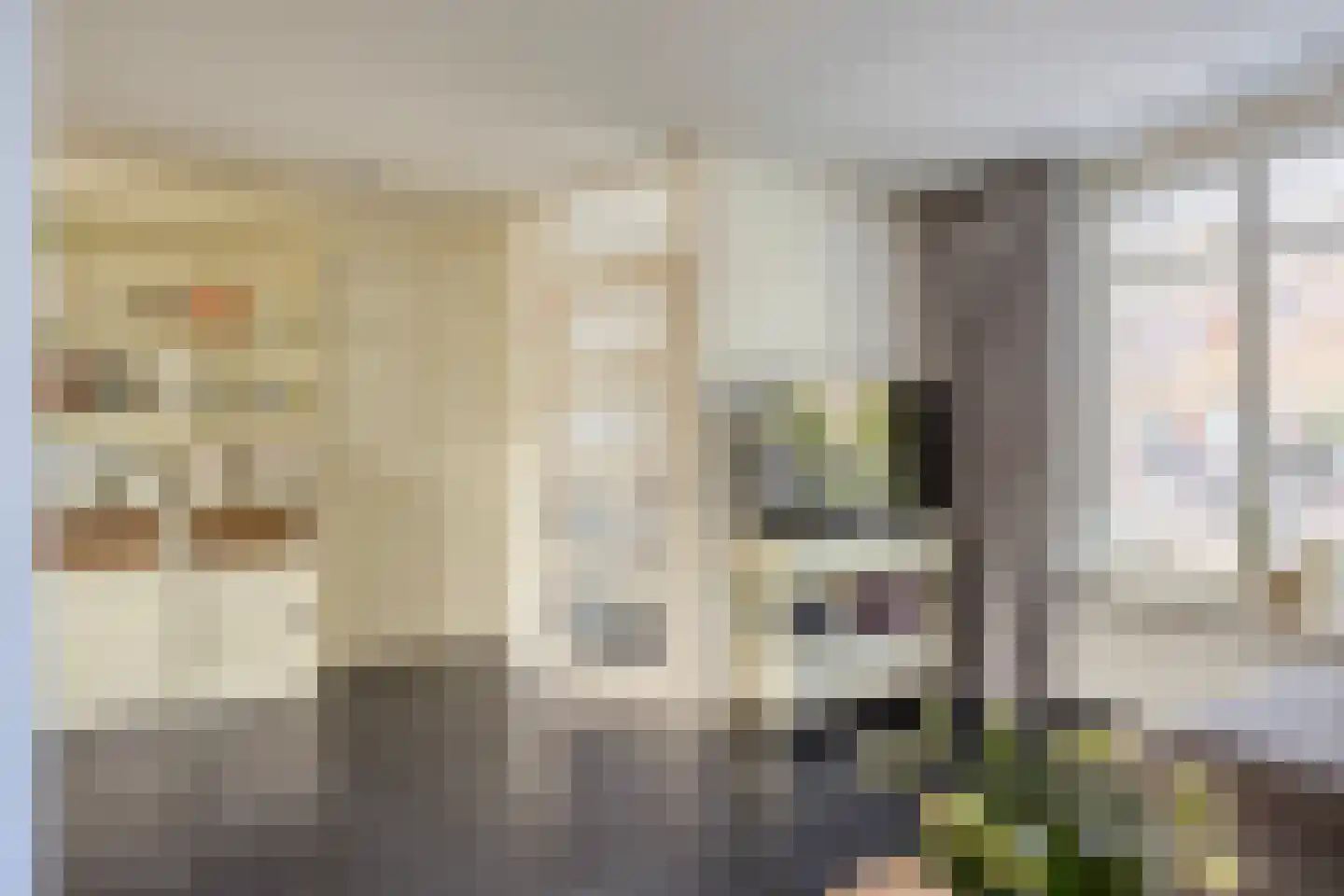 Hooivork 50 Oostzaan thumbnail 6