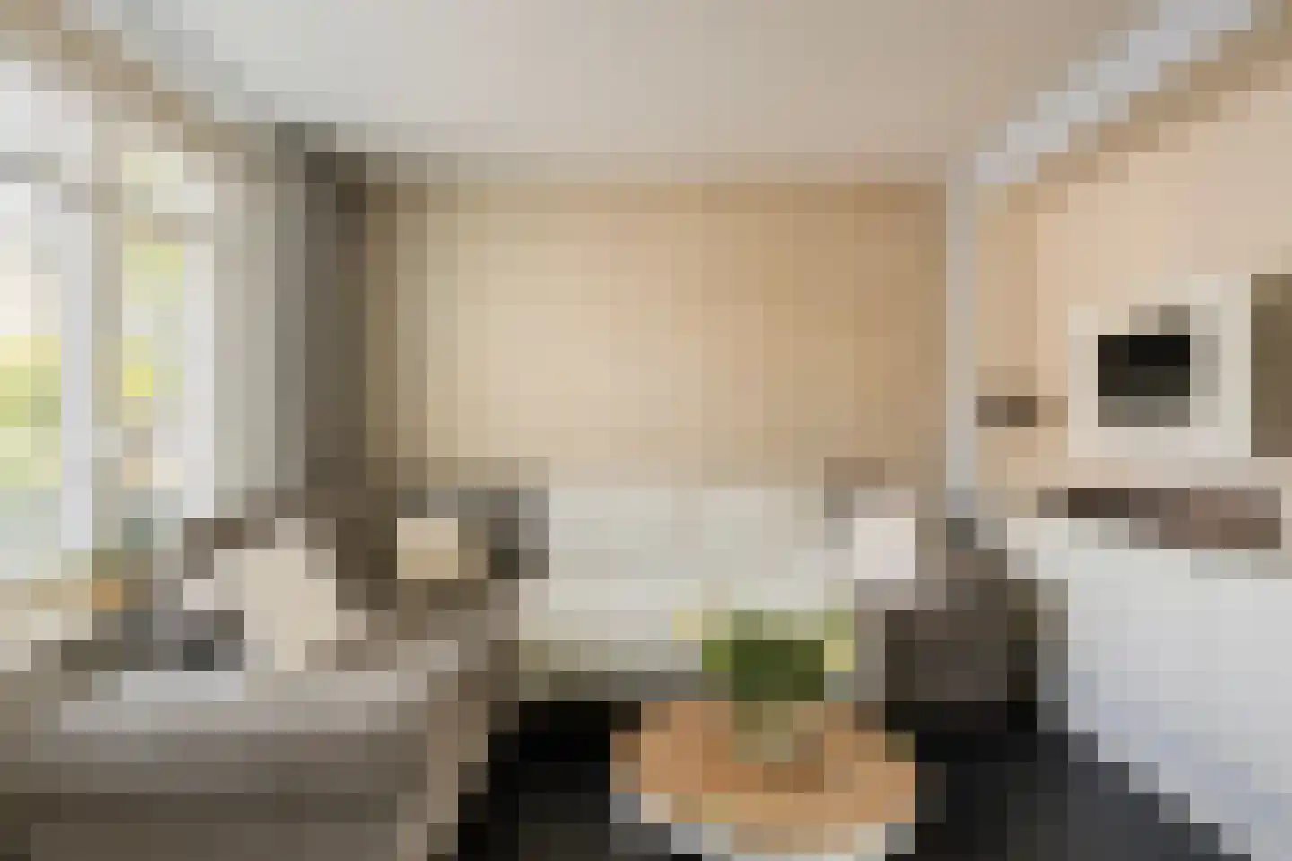 Hooivork 50 Oostzaan thumbnail 7