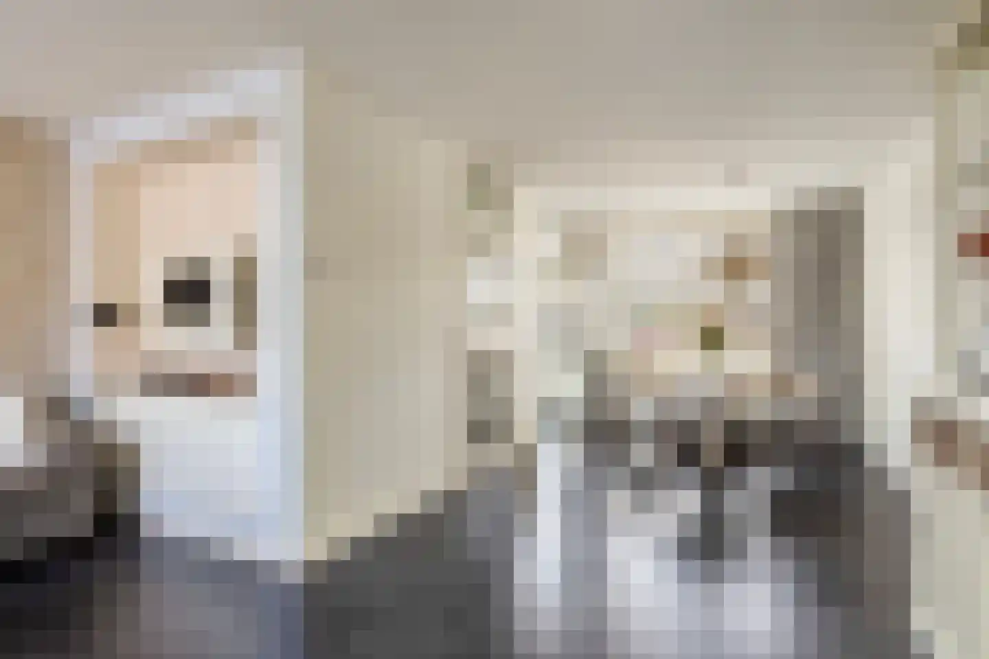 Hooivork 50 Oostzaan thumbnail 9