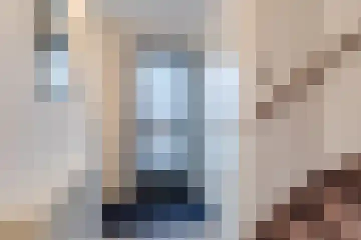 Hooivorkstraat 11 Oosterhout thumbnail 6