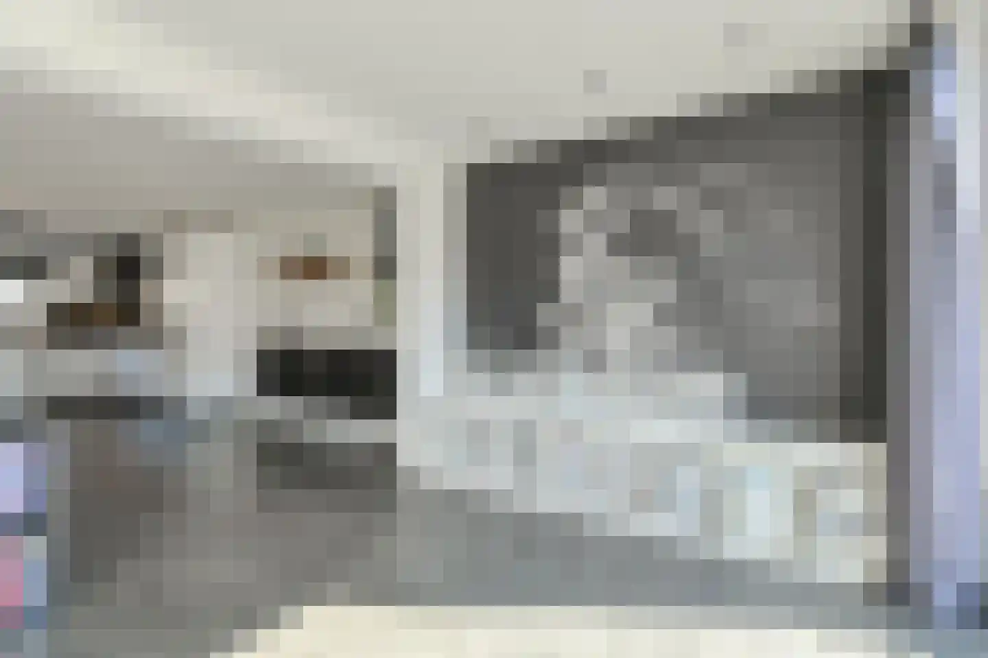 Hooivorkstraat 21 Oosterhout thumbnail 19