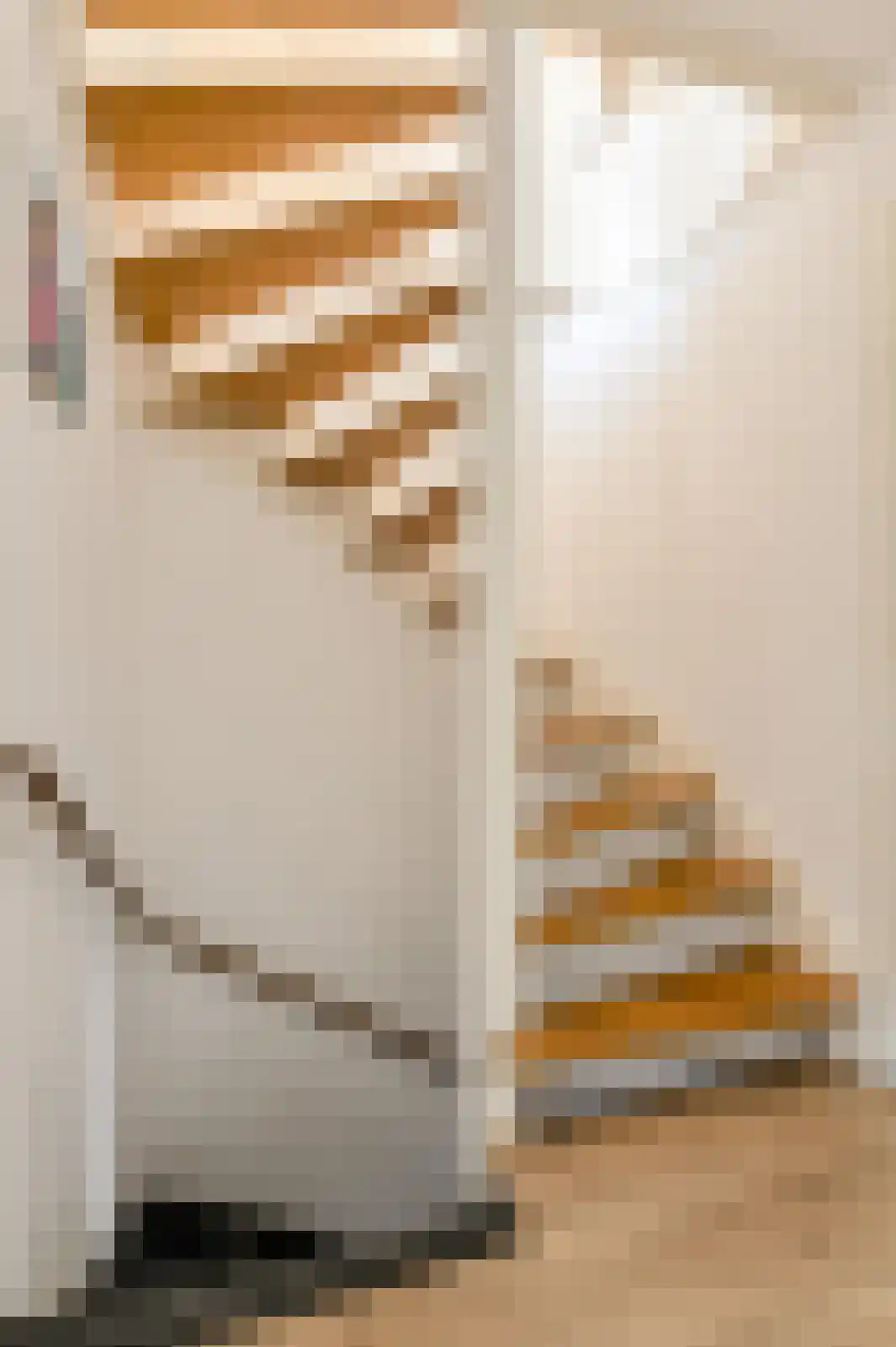Hooivorkstraat 21 Oosterhout thumbnail 37
