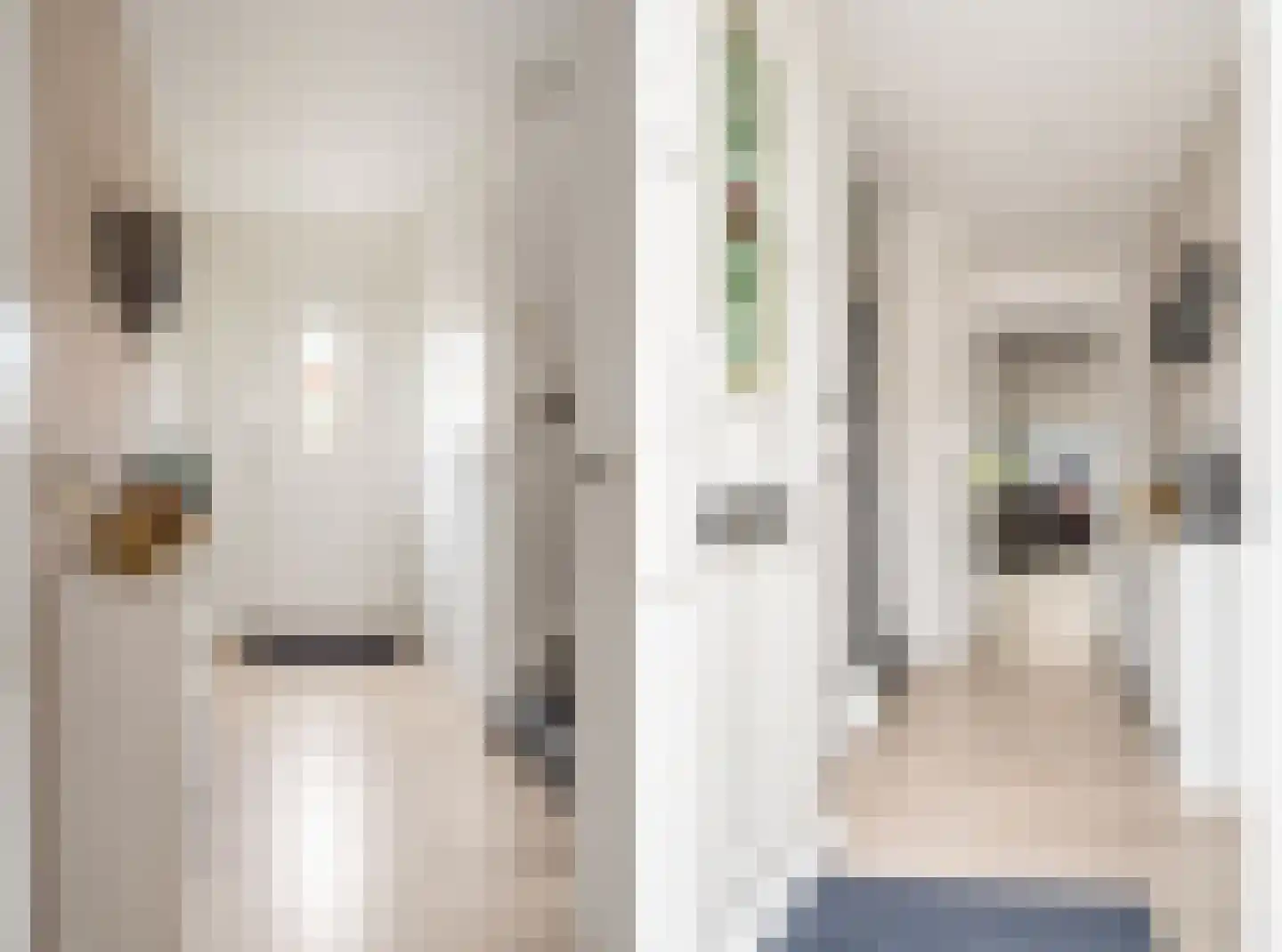 Hooivorkstraat 7 Oosterhout thumbnail 18
