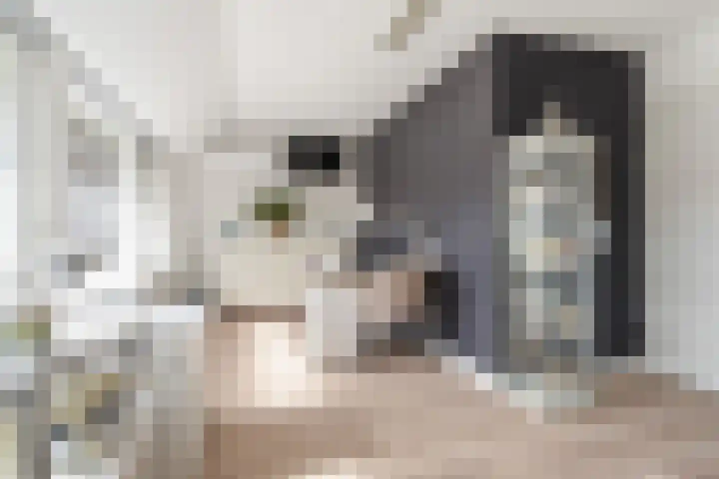 Hooivorkstraat 7 Oosterhout thumbnail 23
