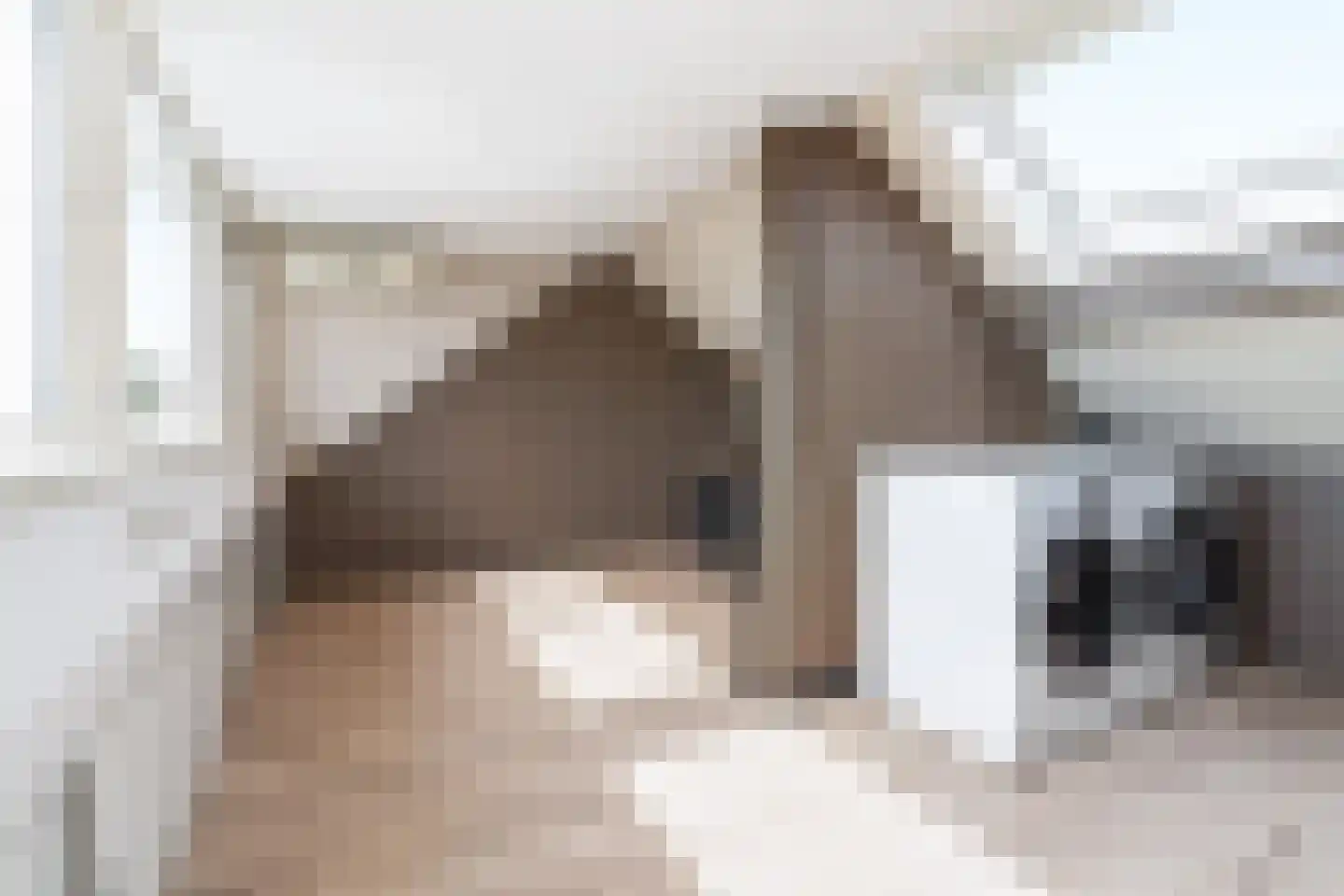 Hooivorkstraat 7 Oosterhout thumbnail 31