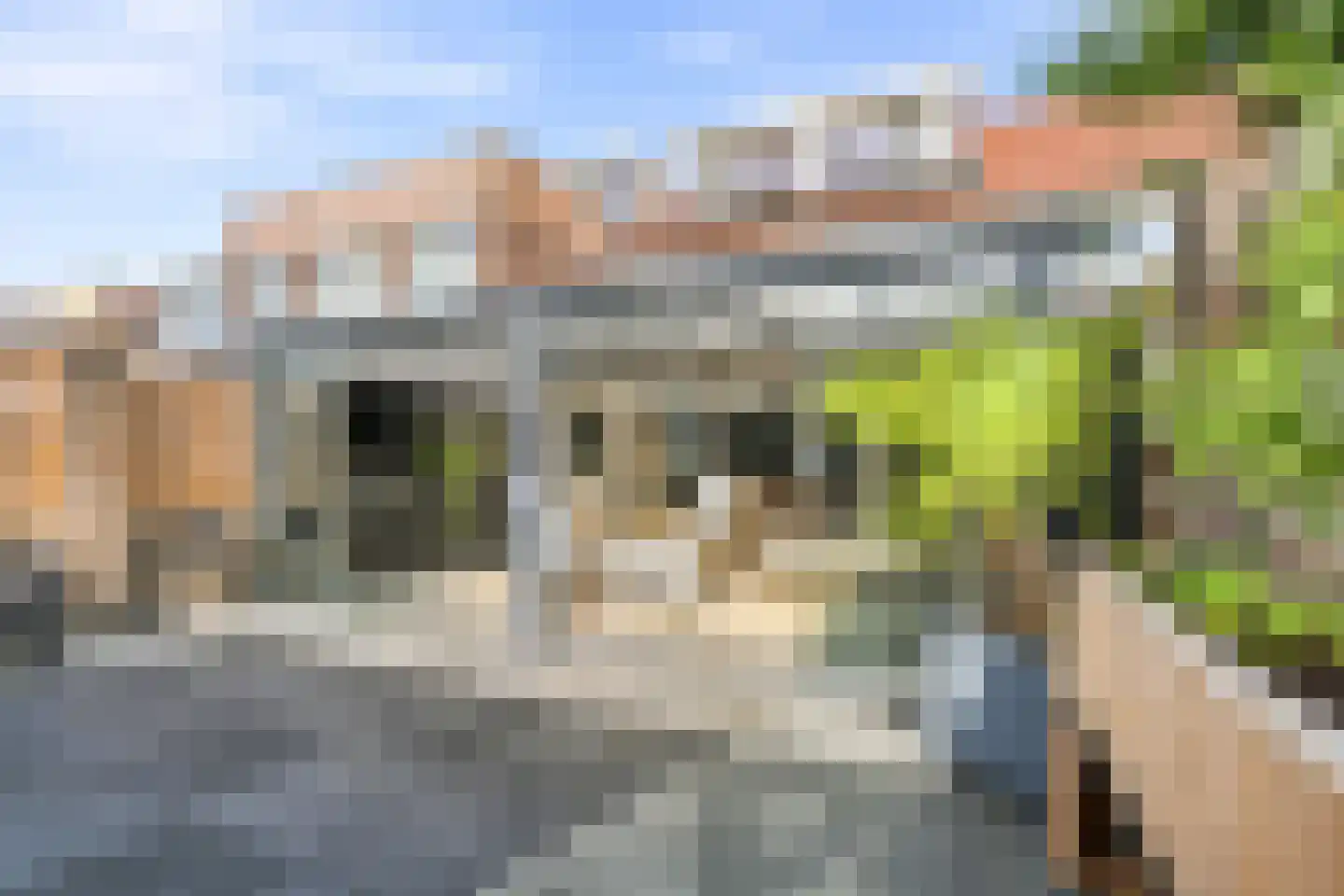 Hooivorkstraat 7 Oosterhout thumbnail 34