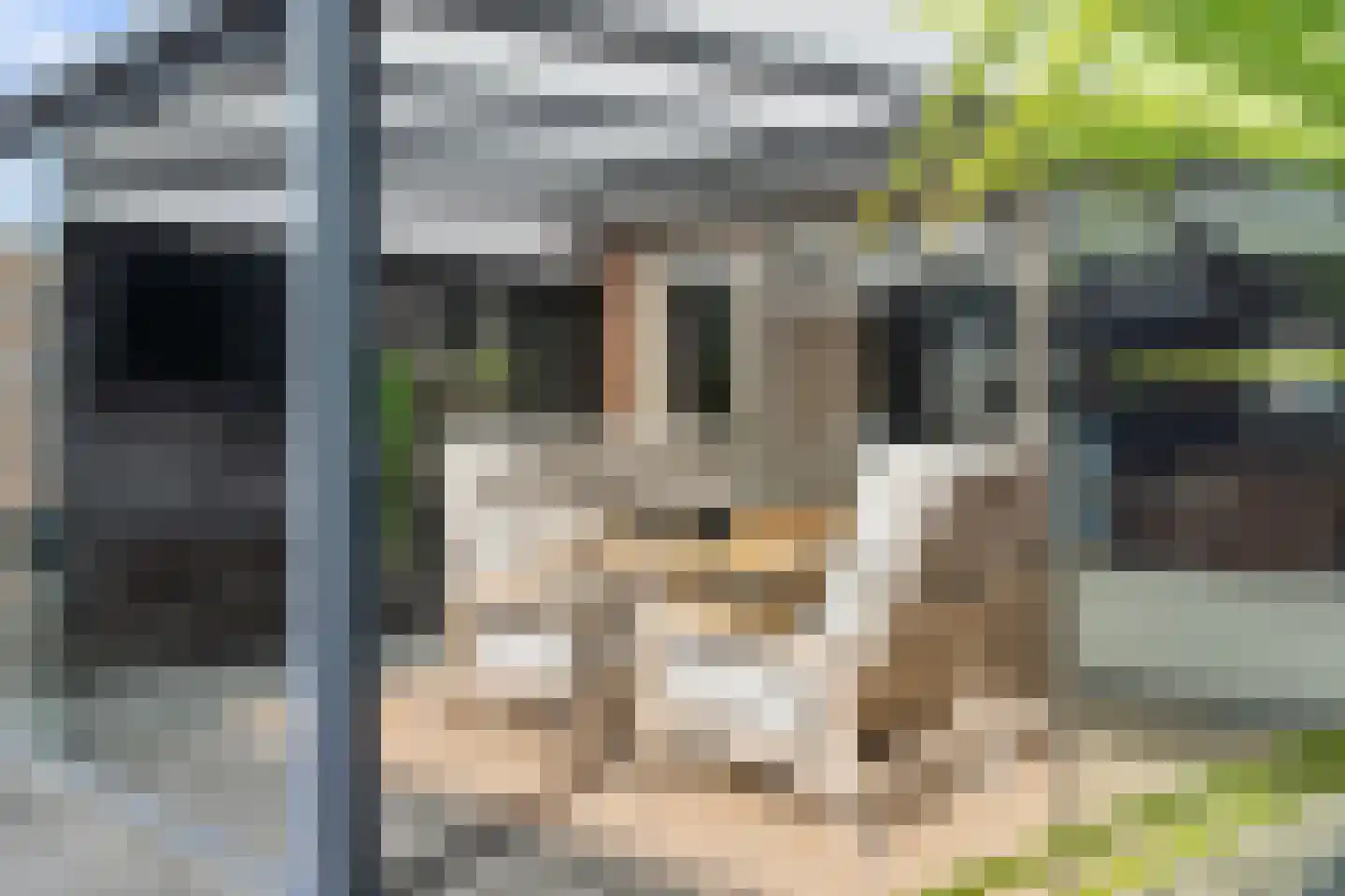 Hooivorkstraat 7 Oosterhout thumbnail 38