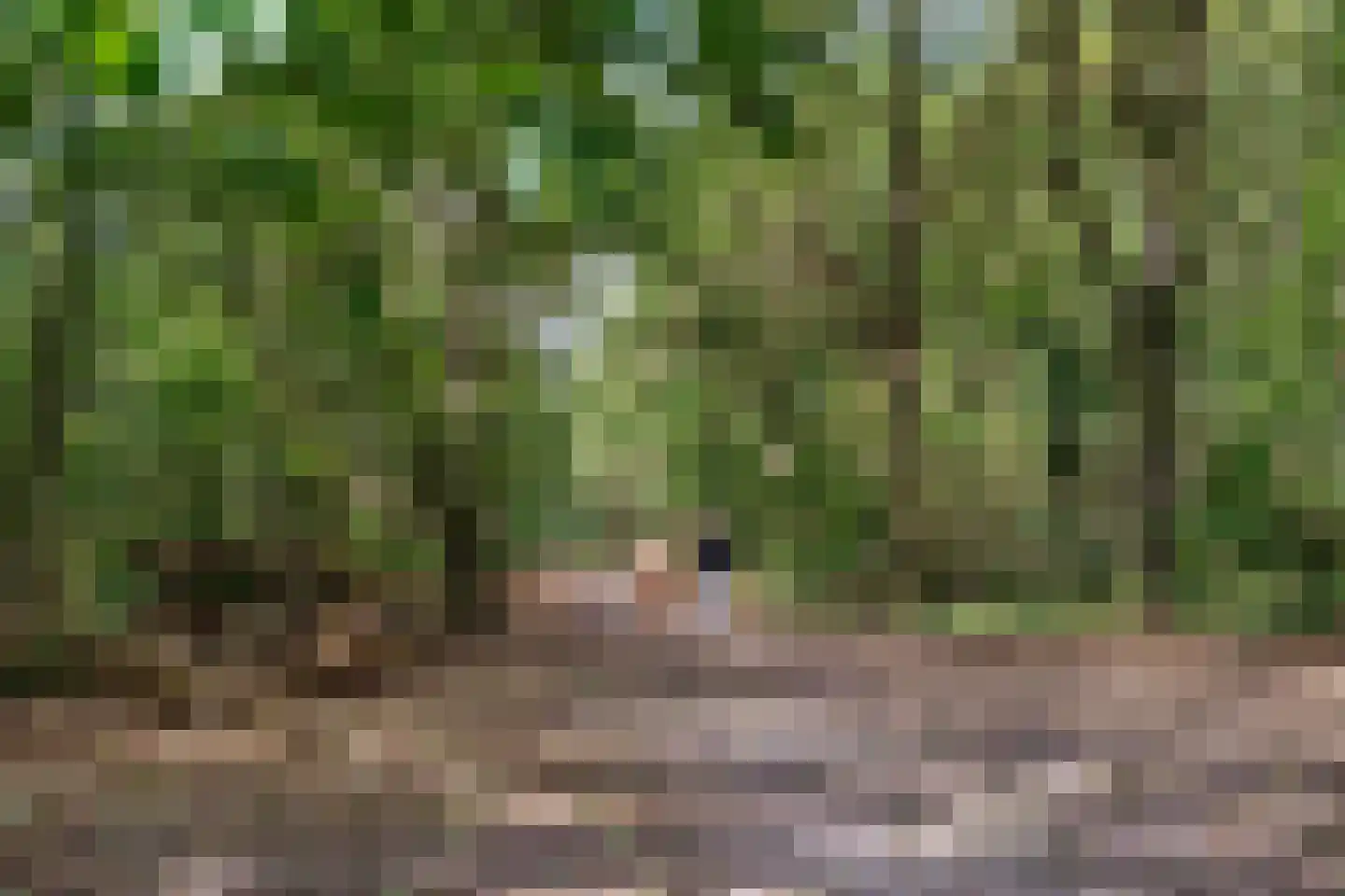 Hooivorkstraat 7 Oosterhout thumbnail 46