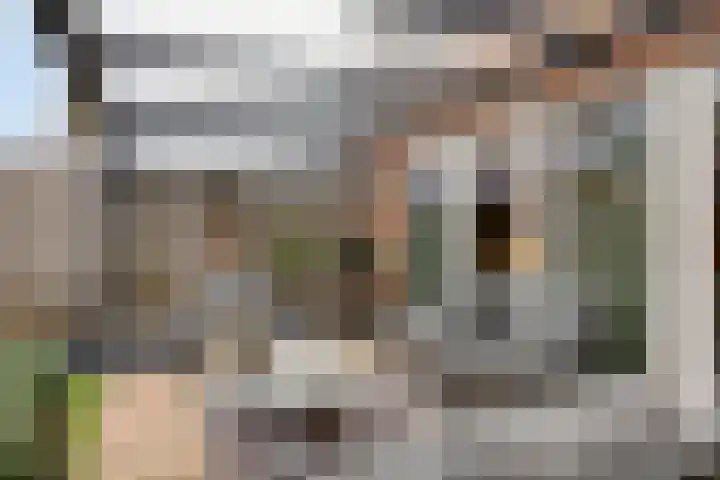 Hooivorkstraat 9 Oosterhout thumbnail 21