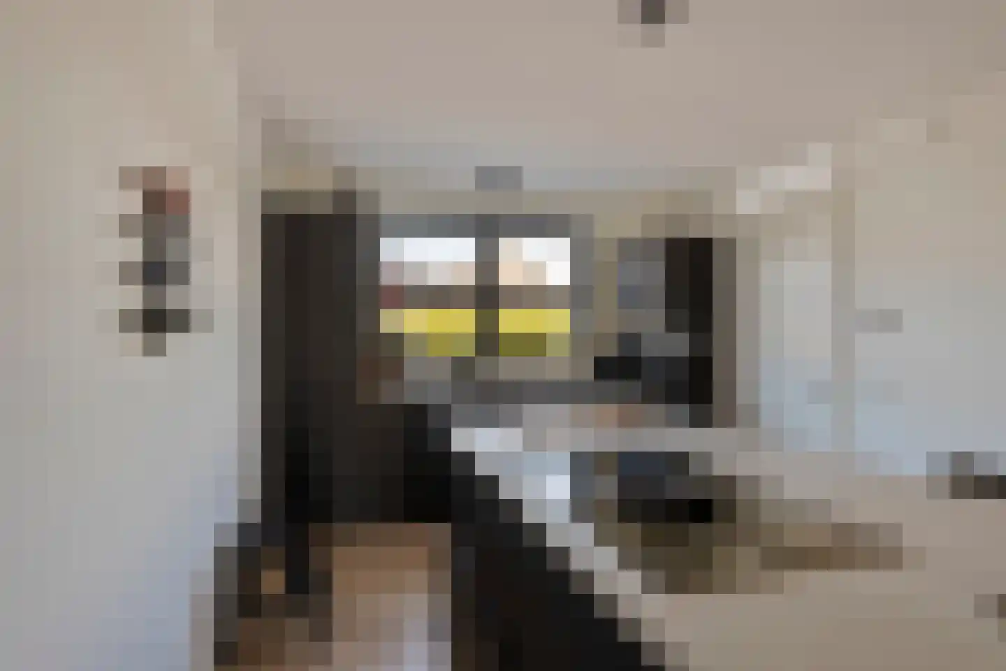 Hooiwagen 18 Bant thumbnail 11
