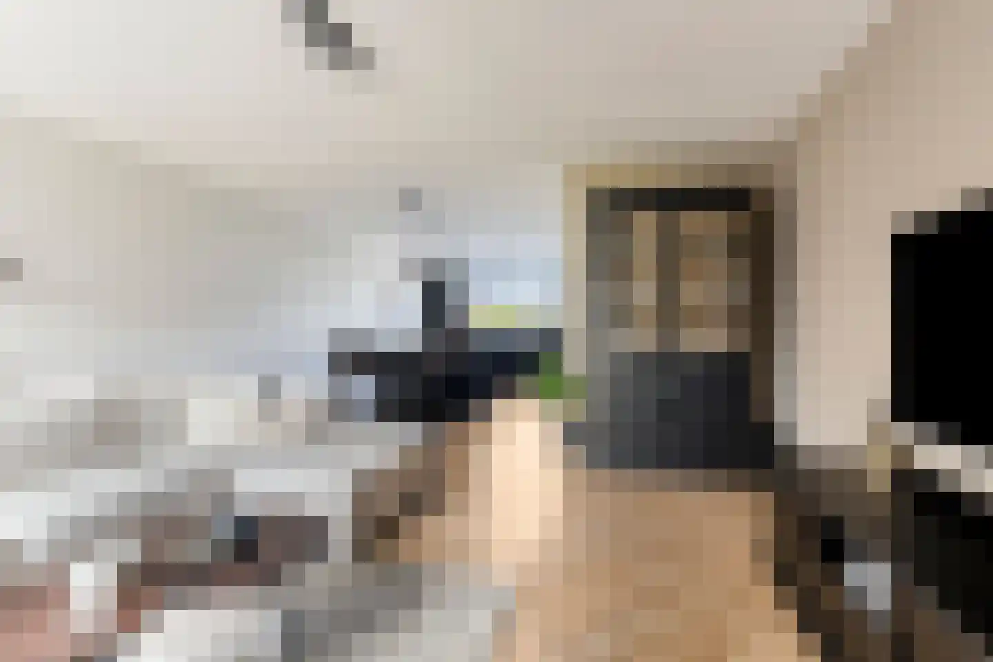 Hooiwagen 18 Bant thumbnail 8