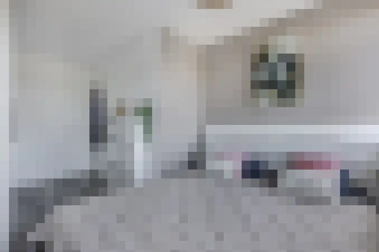 Hooiwagen 8 Dronten thumbnail 36