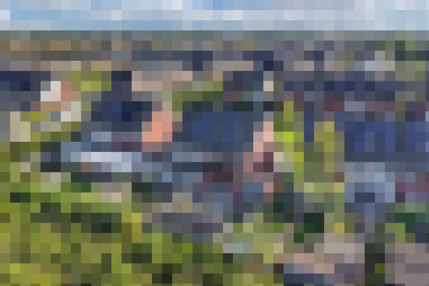 Hooiwagen 8 Dronten thumbnail 59
