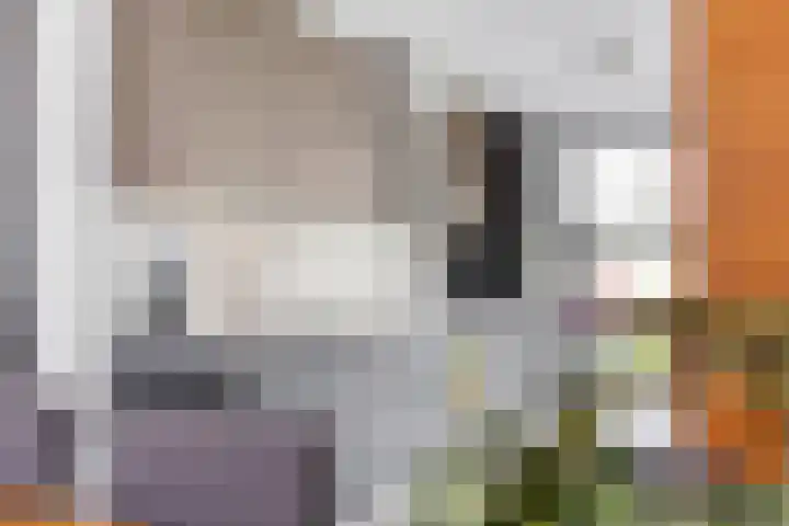 Hooiweg 1 Drachten thumbnail 12