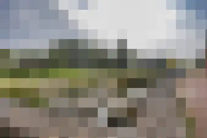 Hooiweg 1 Drachten thumbnail 35