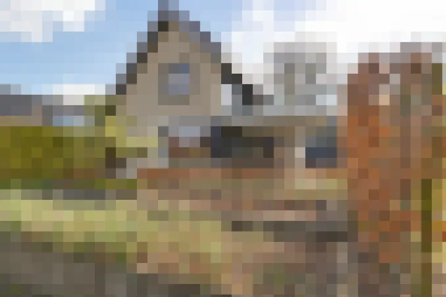 Hooiweg 13 Eelde
