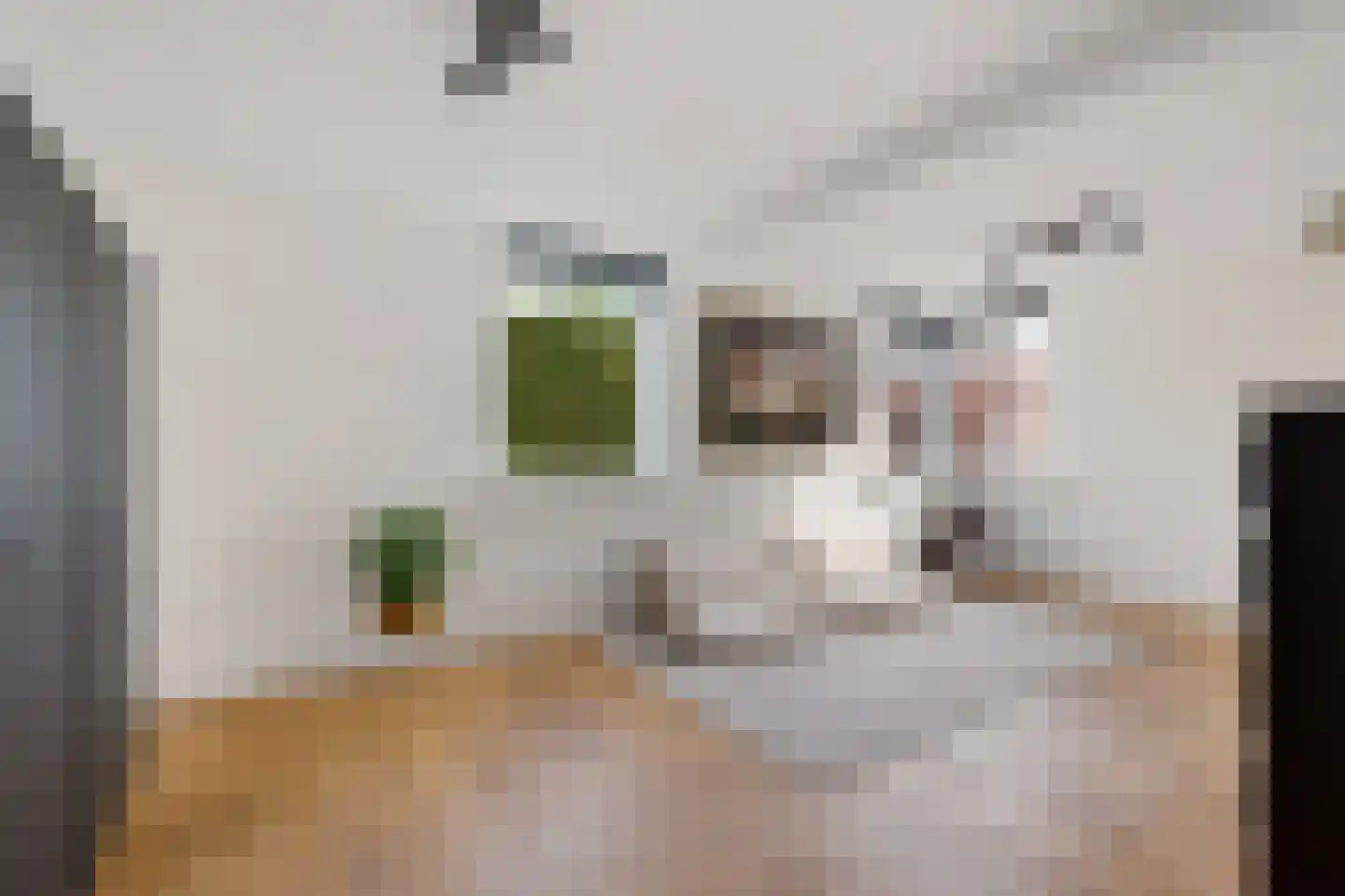 Hooiweg 13 Eelde thumbnail 19