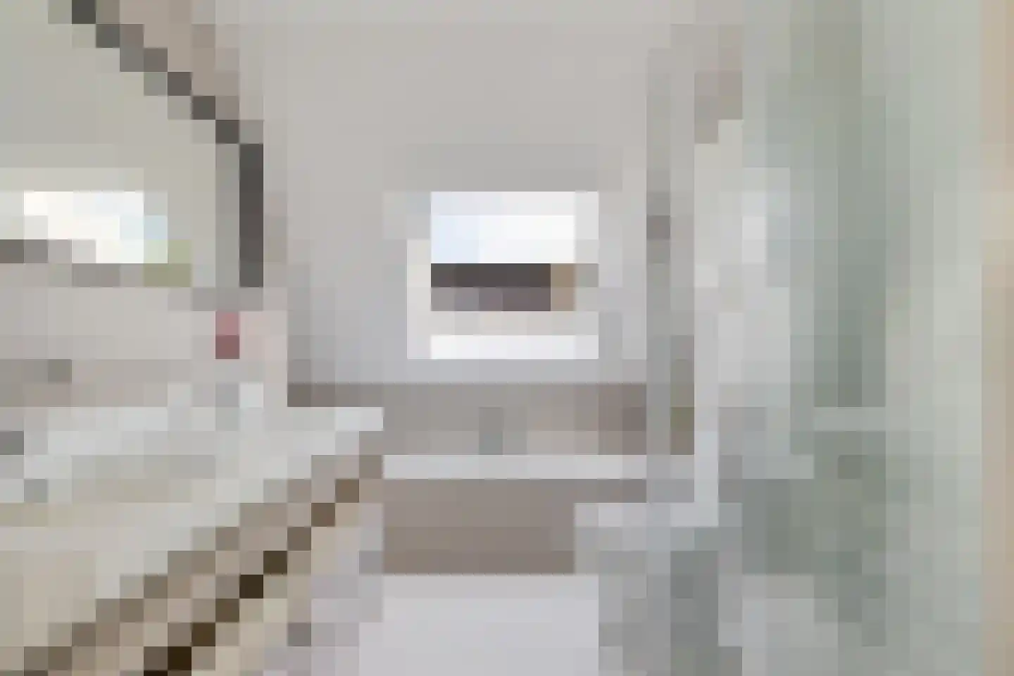 Hooiweg 13 Eelde thumbnail 30