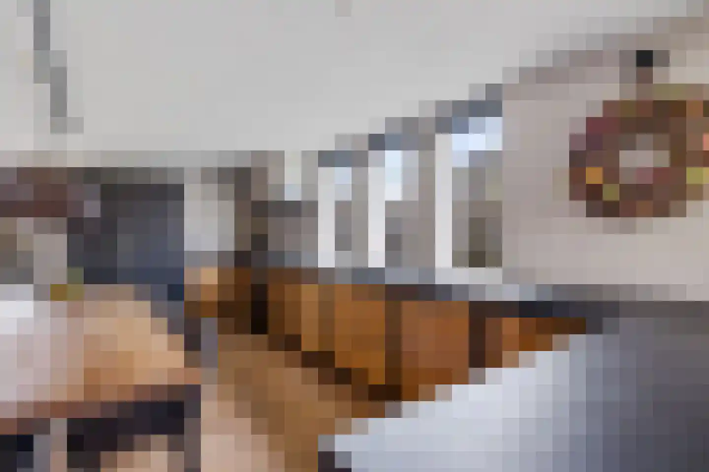 Hooiweg 13 Eelde thumbnail 9