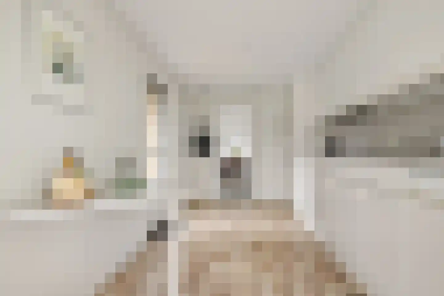 Hooiweg 131 Paterswolde thumbnail 19